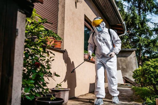 Best Spider Control Near Me  in Mango, FL