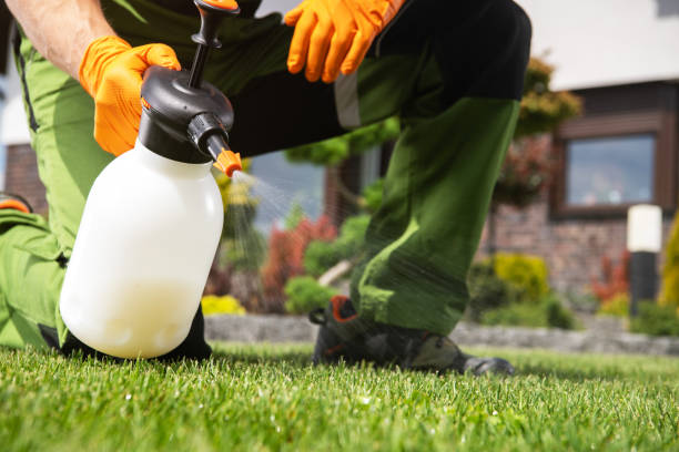 Best Mosquito Control Services  in Mango, FL
