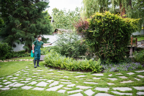 Best Pest Removal Services  in Mango, FL
