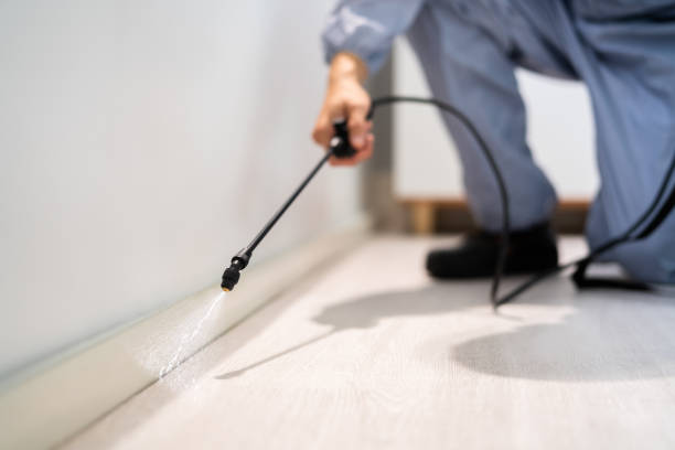 Pest Control Cost in Mango, FL